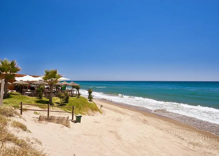 Apartament Oleholidays 806 Romana Playa Primera Linea De Playa